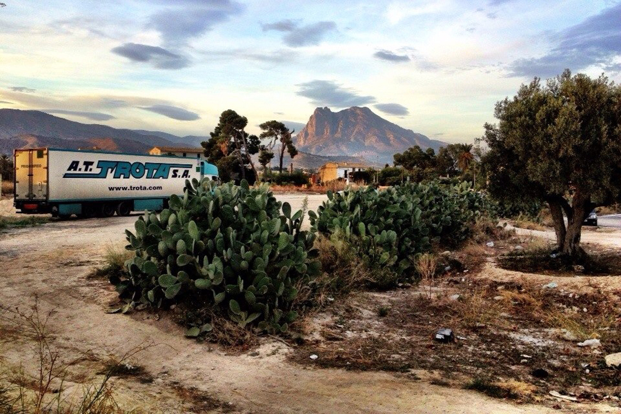 Путешествия